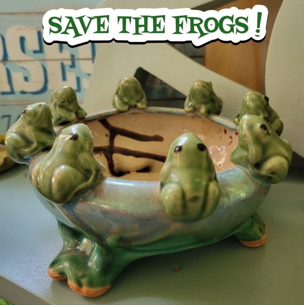 Whimsical Green Frog Ceramic Planter